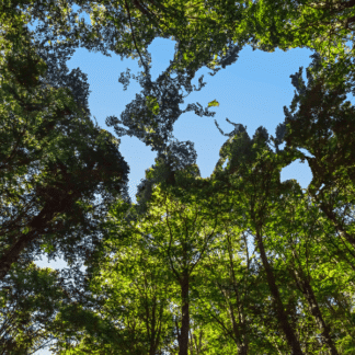 Introduction to environmental awareness training promoting sustainability